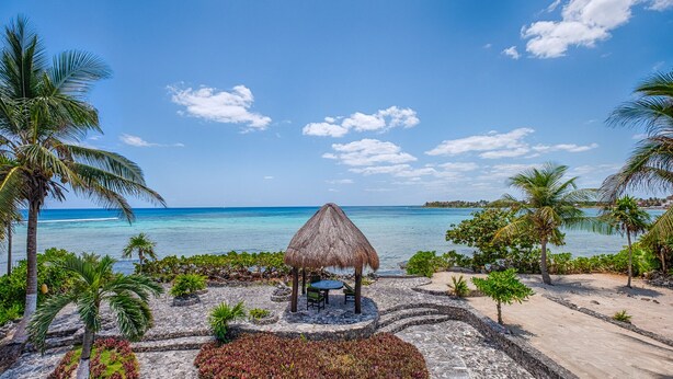 A beach with a thatched hut, palm trees, and a clear view of the ocean. - Timeless Oceanfront Villa with Pool in North Akumal (Akumal)
