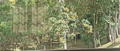 Chalé luxo, varanda coberta, vista para a montanha | 1 quarto, roupas de cama premium, Wi-Fi de cortesia, roupa de cama