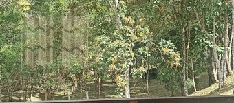 Pousada Recanto Lajinha