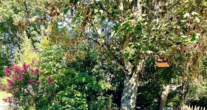 Pretty, bucolic 95 m2 house in magnificent landscaped grounds. Private courtyard. Swimming pool.