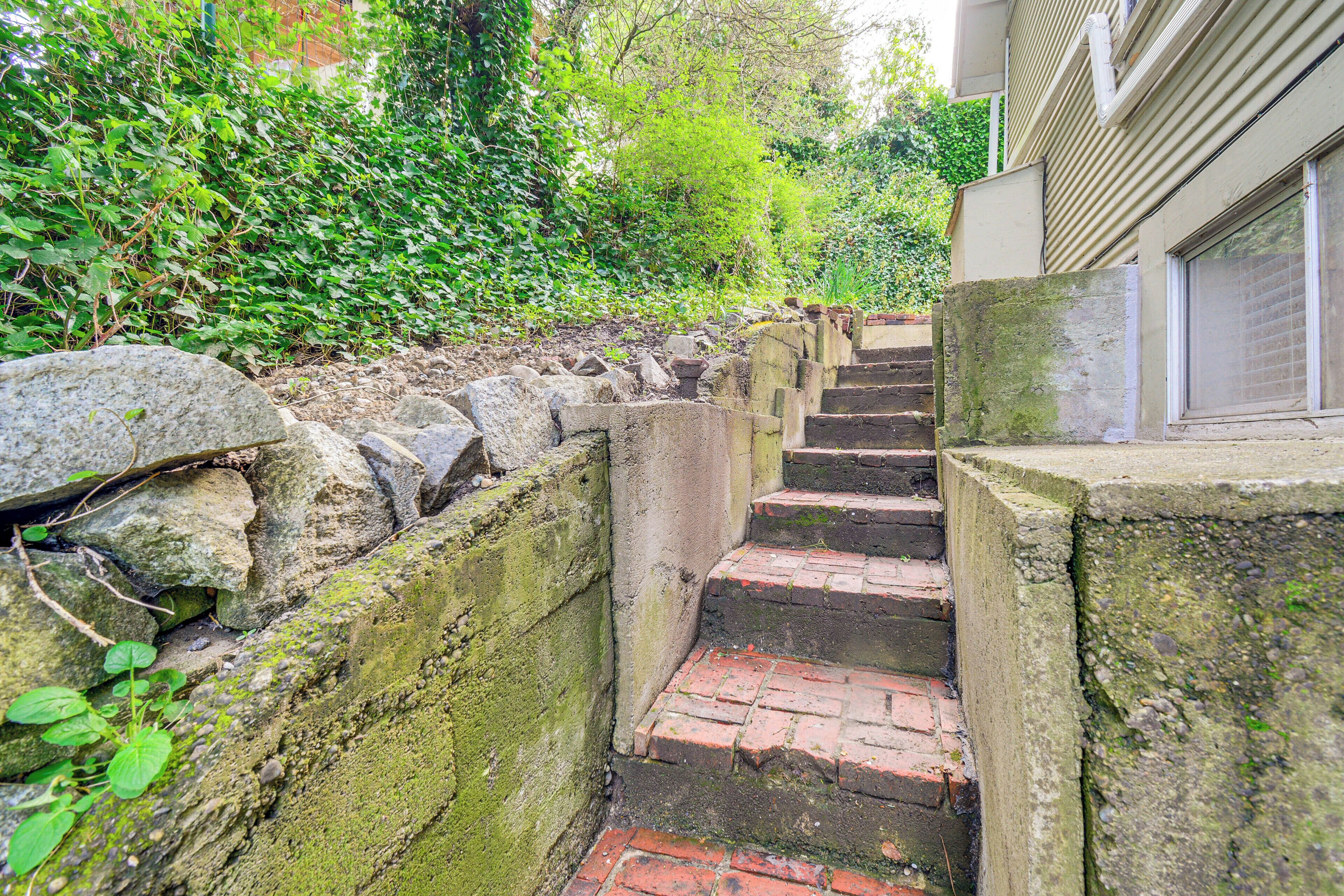 Un escalier en pierre menant à un bâtiment, entouré d’une végétation luxuriante.