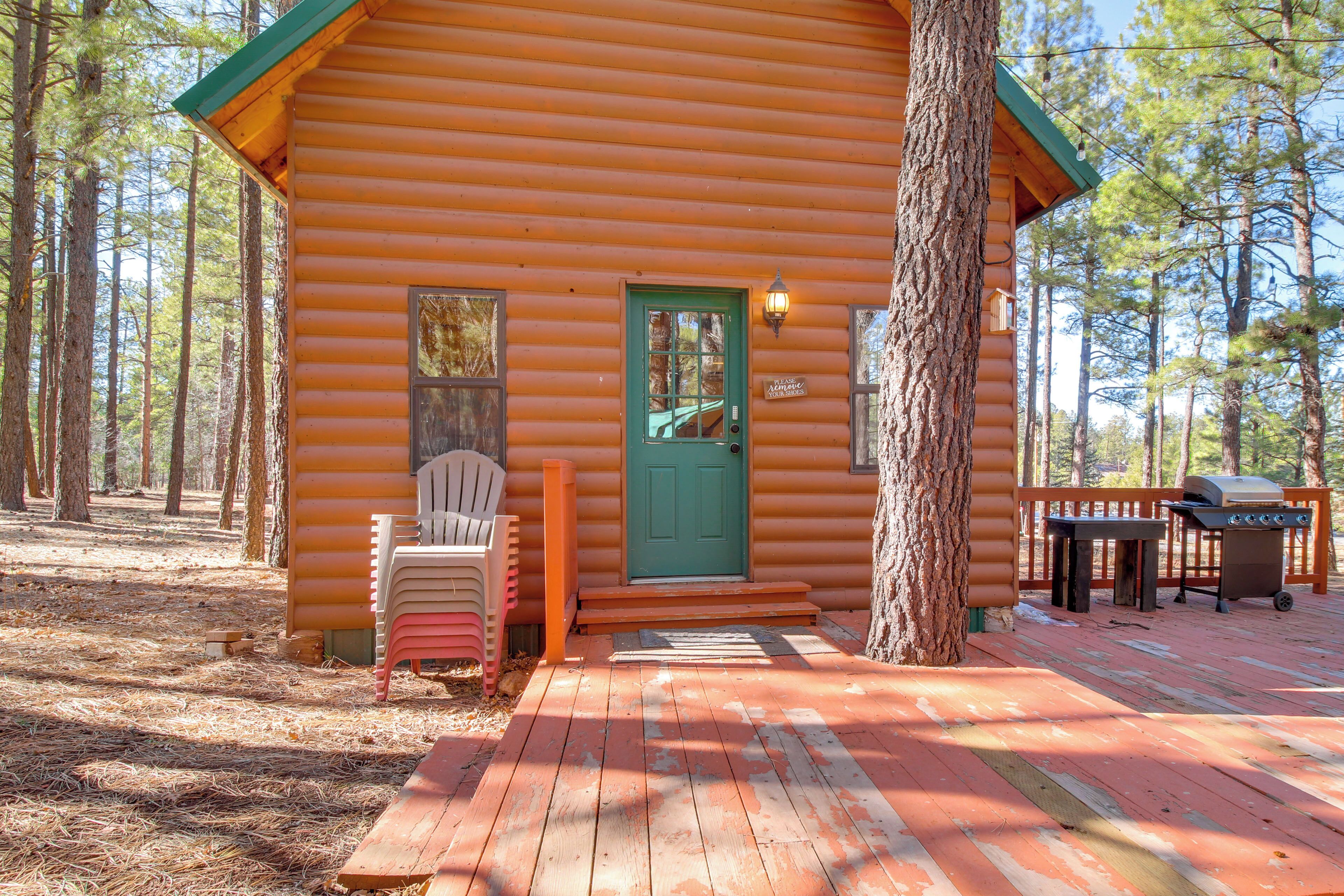 Appartement (0 Bedroom) | Intérieur