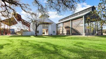 Stunning building with a glass facade and serene grassy lawn.