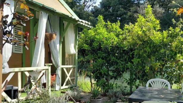 A garden with a patio table and chairs, surrounded by lush greenery and a variety of plants.