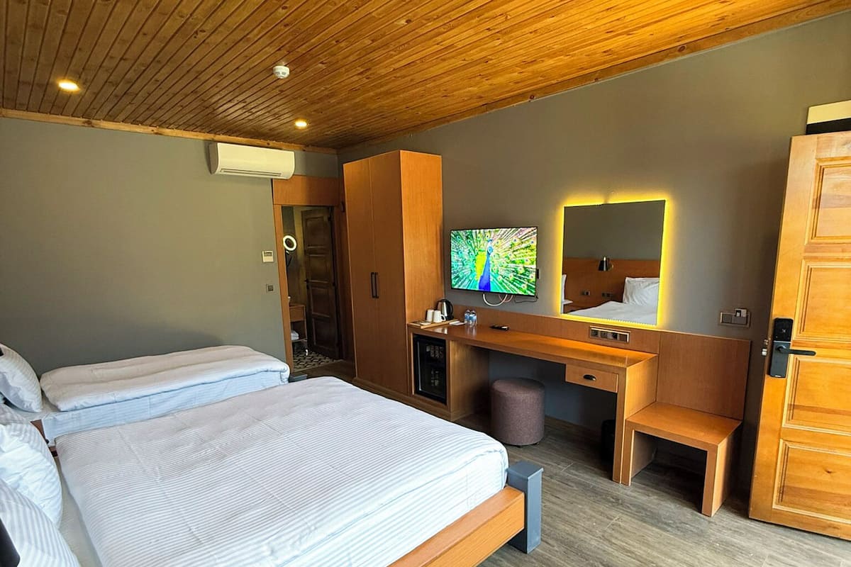 Chambre Triple Deluxe, 1 chambre