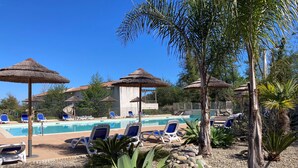 A poolside area with lounge chairs, thatched umbrellas, and a clear blue sky. - Apartment with terrace and direct access to pool & beach (Poggio-Mezzana)