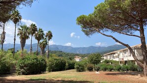 A residential area with a house surrounded by greenery, palm trees, and mountains in the background. - Apartment with terrace and direct access to pool & beach (Poggio-Mezzana)