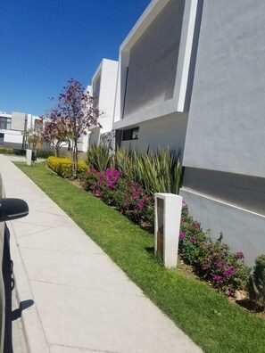 Property grounds - Charming 3-bedroom house with WiFi, AC in Aguascalientes (Aguascalientes)