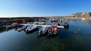 Μια μαρίνα με διάφορα σκάφη αγκυροβολημένα, ένας καθαρός ουρανός και ένα κτίριο στο βάθος.