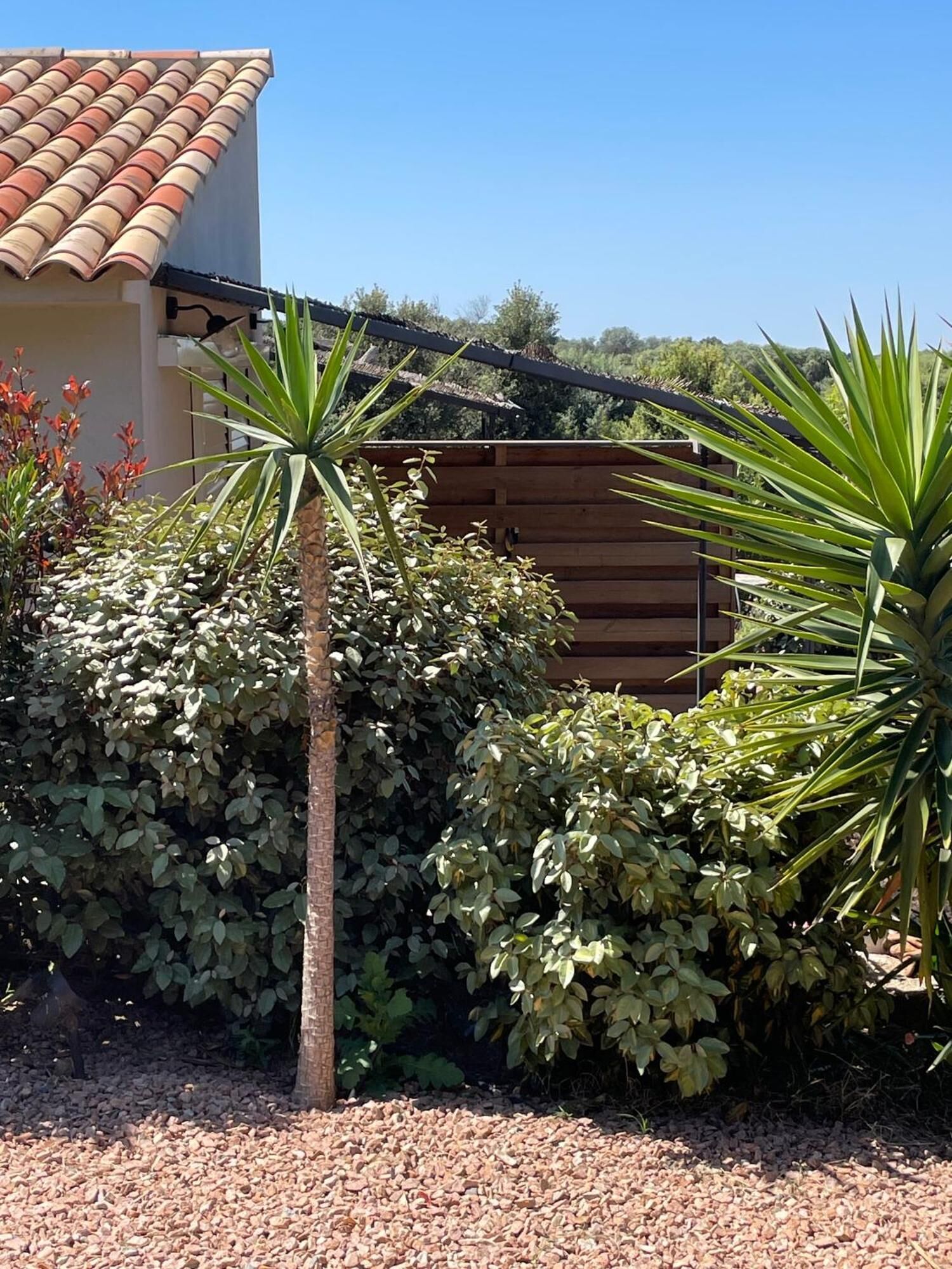 A house with a tiled roof, surrounded by dense greenery including various shrubs and a palm tree.