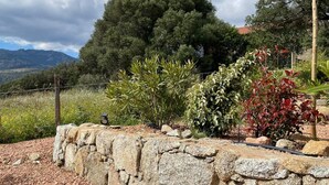 A stone wall with various plants, a solar-powered light, and a mountainous background. - Rsidence Patios di Pruno (Figari)