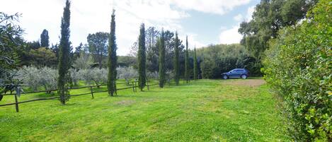 Área da propriedade