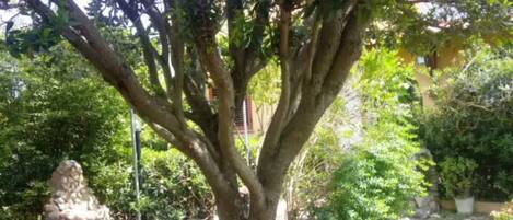 Terrain de lâhĂ©bergement