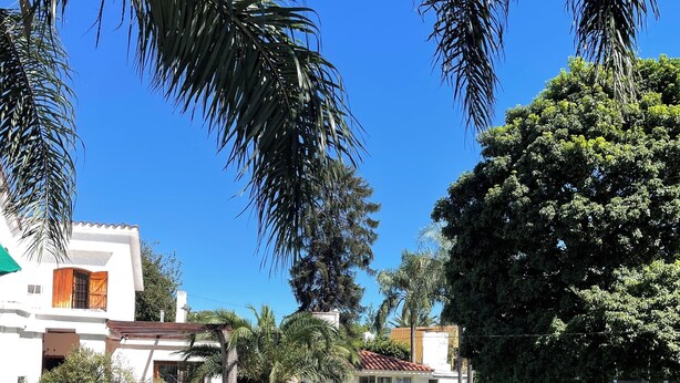 Uma área gramada com um edifício, uma árvore e um céu azul claro.
