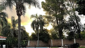 Piscina rodeada por um muro de tijolos, com área gramada e árvores ao fundo.