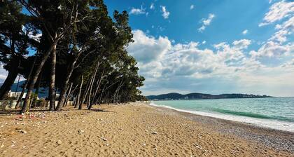 Charming apartment with WiFi, AC in fabulous Bar