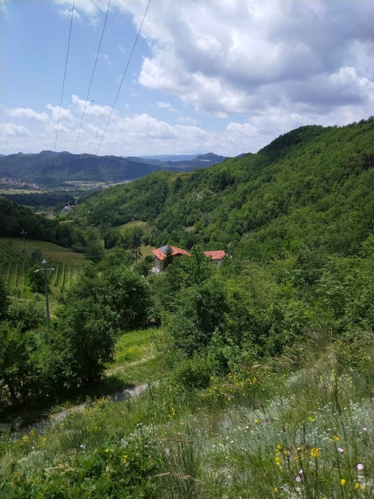 Paisaje rural con colinas ondulantes, algunas casas con techos rojos y un cielo despejado.