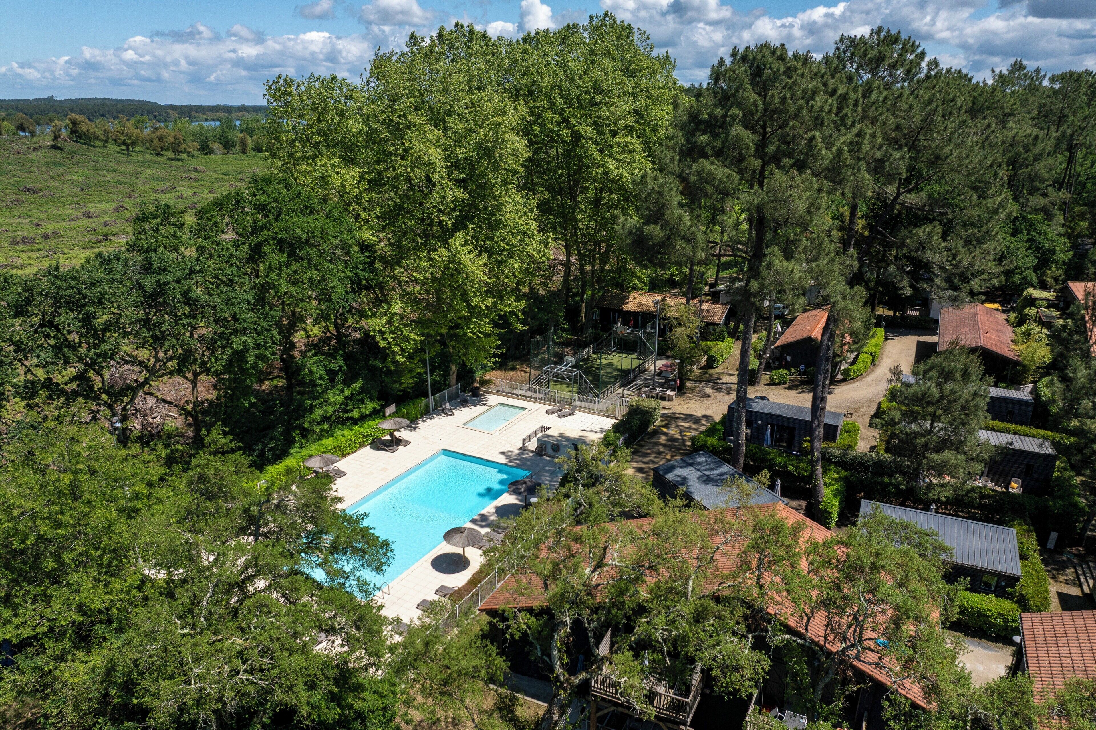 A residential area with a swimming pool, surrounded by trees and houses.