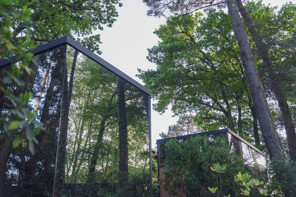 A modern structure with glass walls amidst a forested area. - BonjourSauvage Seignosse (Seignosse)