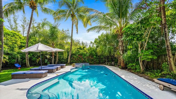 Una piscina de borde curvo, rodeada de palmeras y abundante vegetación.