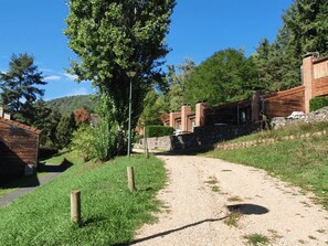 Uklassifisert bilde, 3 av 24, knapp