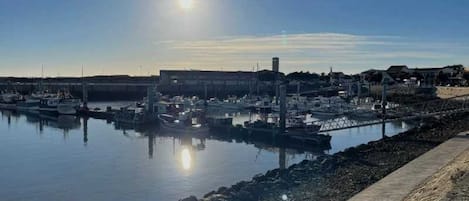 Marina