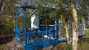 Una pequeña estructura metálica azul con una ventana, rodeada de árboles.