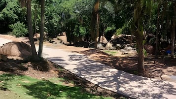 Villa | Property grounds