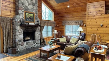 电视、壁炉、DVD 播放器