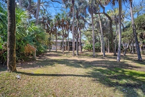 Property grounds - Stargazing Getaway , Pet Friendly - 730 Marlin (Fripp Island)