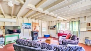 Een woonkamer met een bank, een televisie, een open haard en een boekenkast.