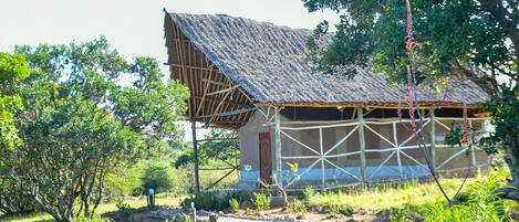 Un edificio rústico con techo de paja, rodeado de vegetación y un sendero de tierra que lo lleva a él.