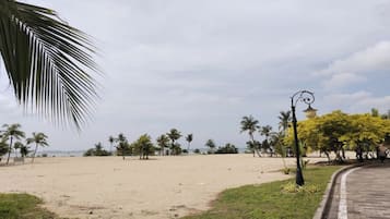 Stroll along the beach, surrounded by palm trees and a paved walkway.