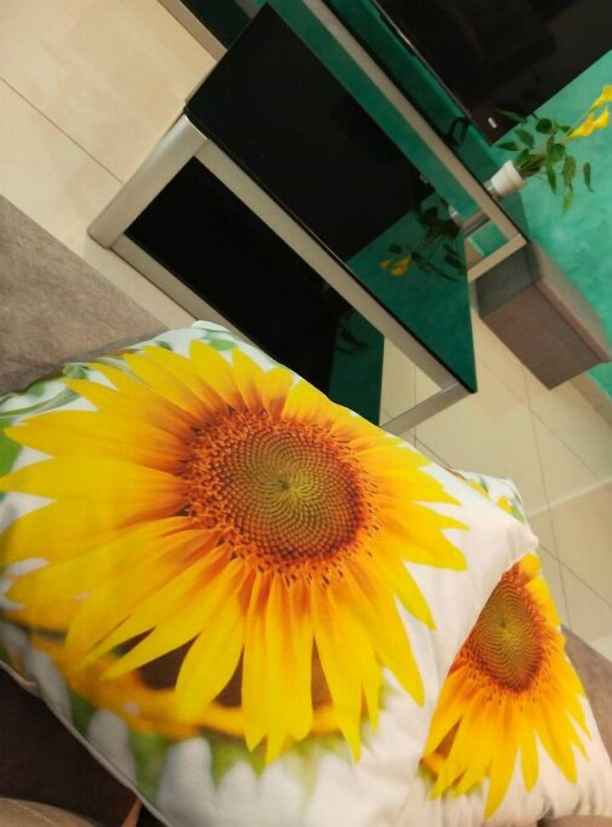 A room with a large window, a bed with a sunflower-patterned pillow, and a green plant on the windowsill.