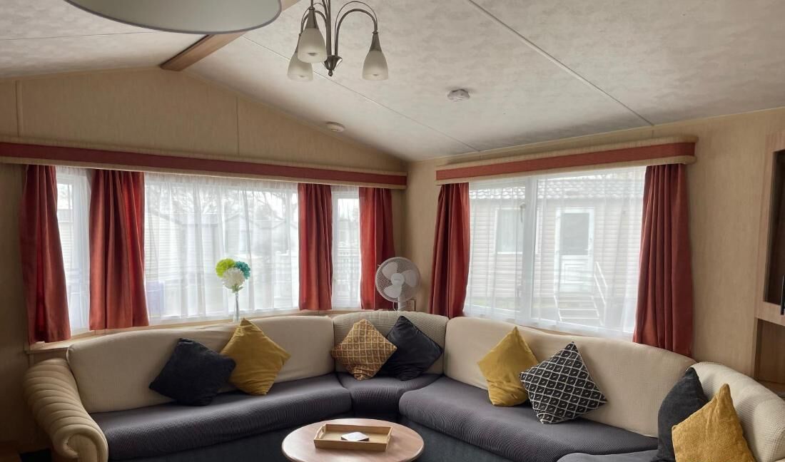 TV, fireplace, books