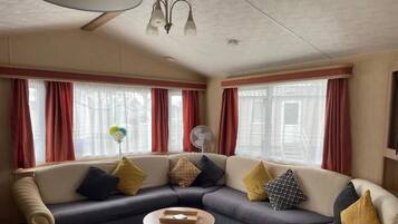 TV, fireplace, books