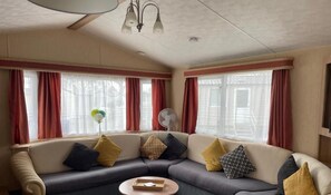 电视、壁炉、书