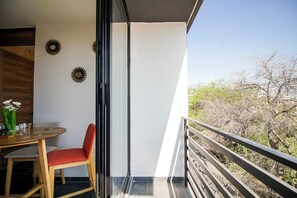 Balcony - Departamento 1 Rec Ubicación Ideal (San Luis Potosí)