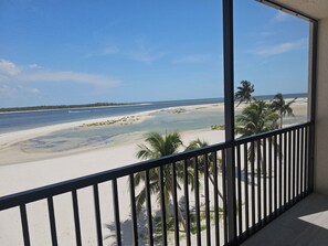 On the beach, sun-loungers, beach towels - The BEACH, dolphins and seashells in your backyard! (Fort Myers Beach)