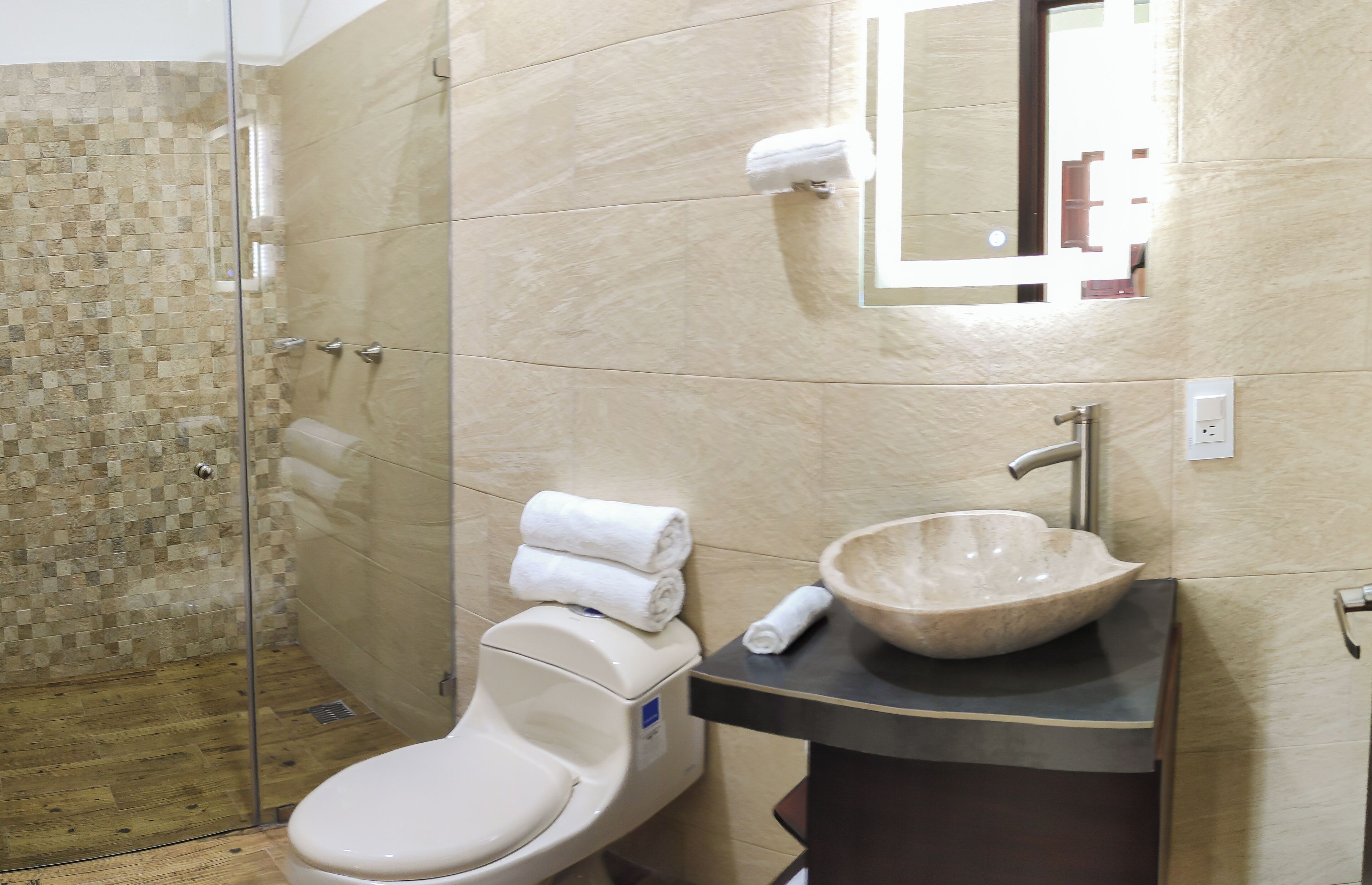 Une salle de bain avec une douche à parois de verre, des toilettes, un lavabo avec un grand bac et un miroir.