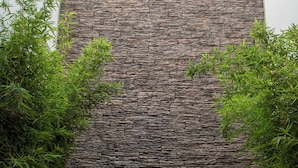 Un muro de piedra con plantas de bambú a ambos lados.