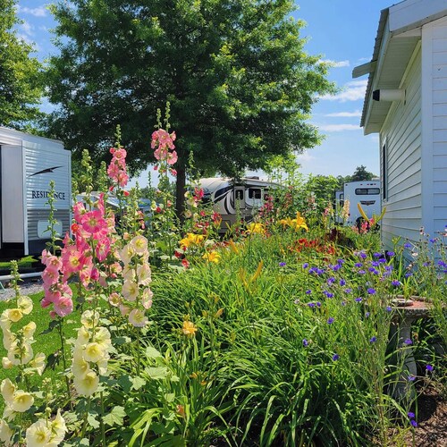 On Otter Creek!  1-bedroom cottage with WiFi and AC!