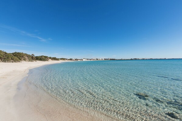 Playa en los alrededores 