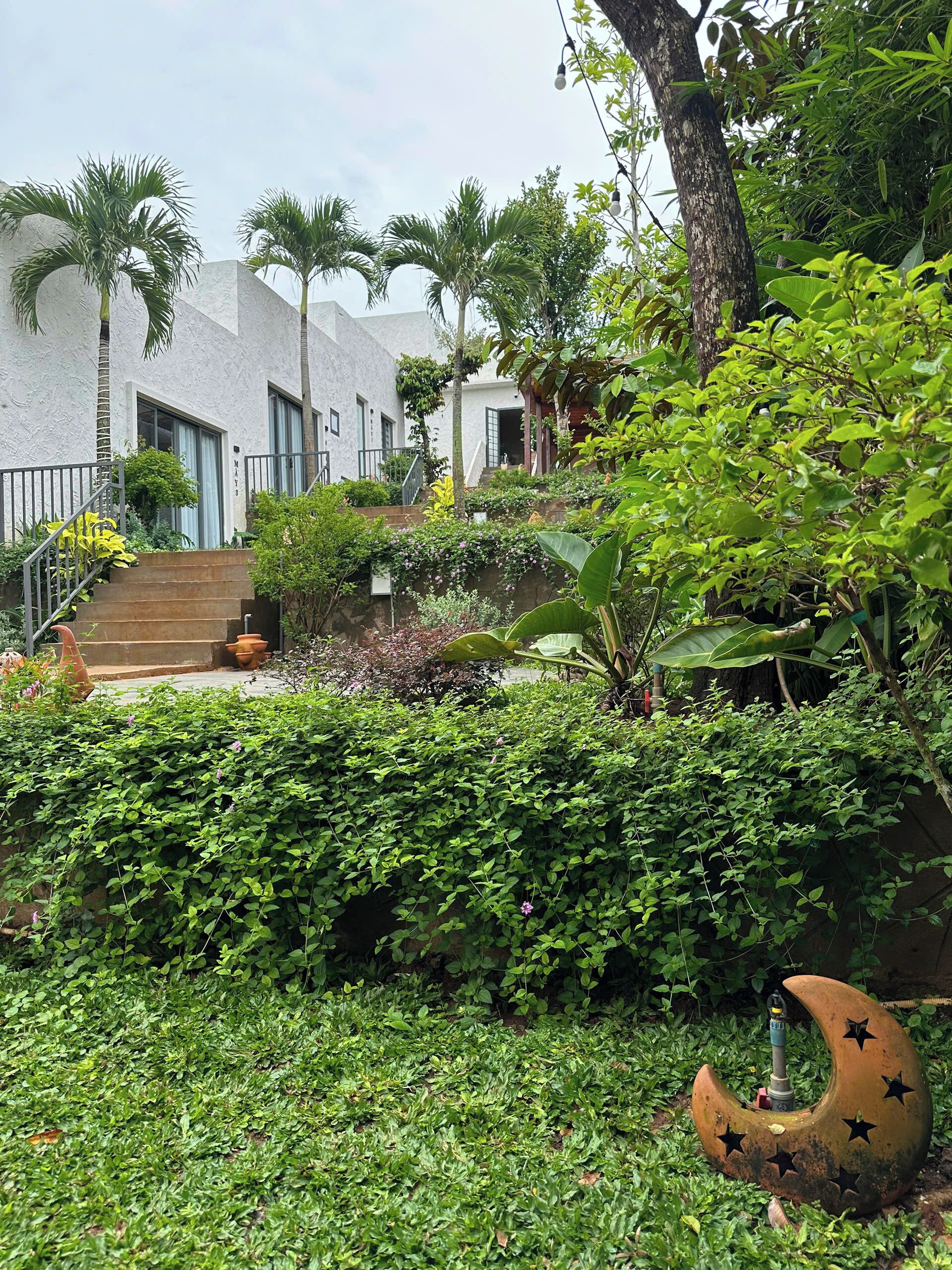 Uitzicht op de binnenplaats