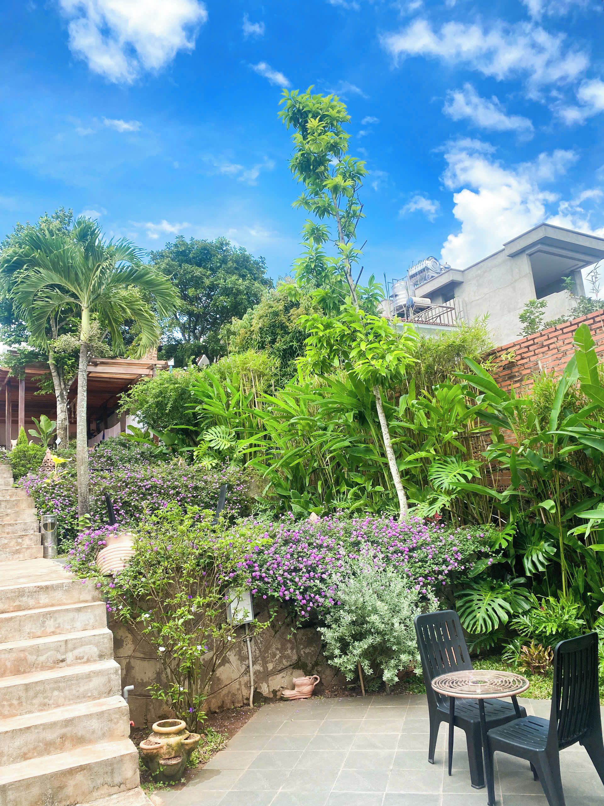 A garden with a staircase, outdoor seating, and a variety of plants.