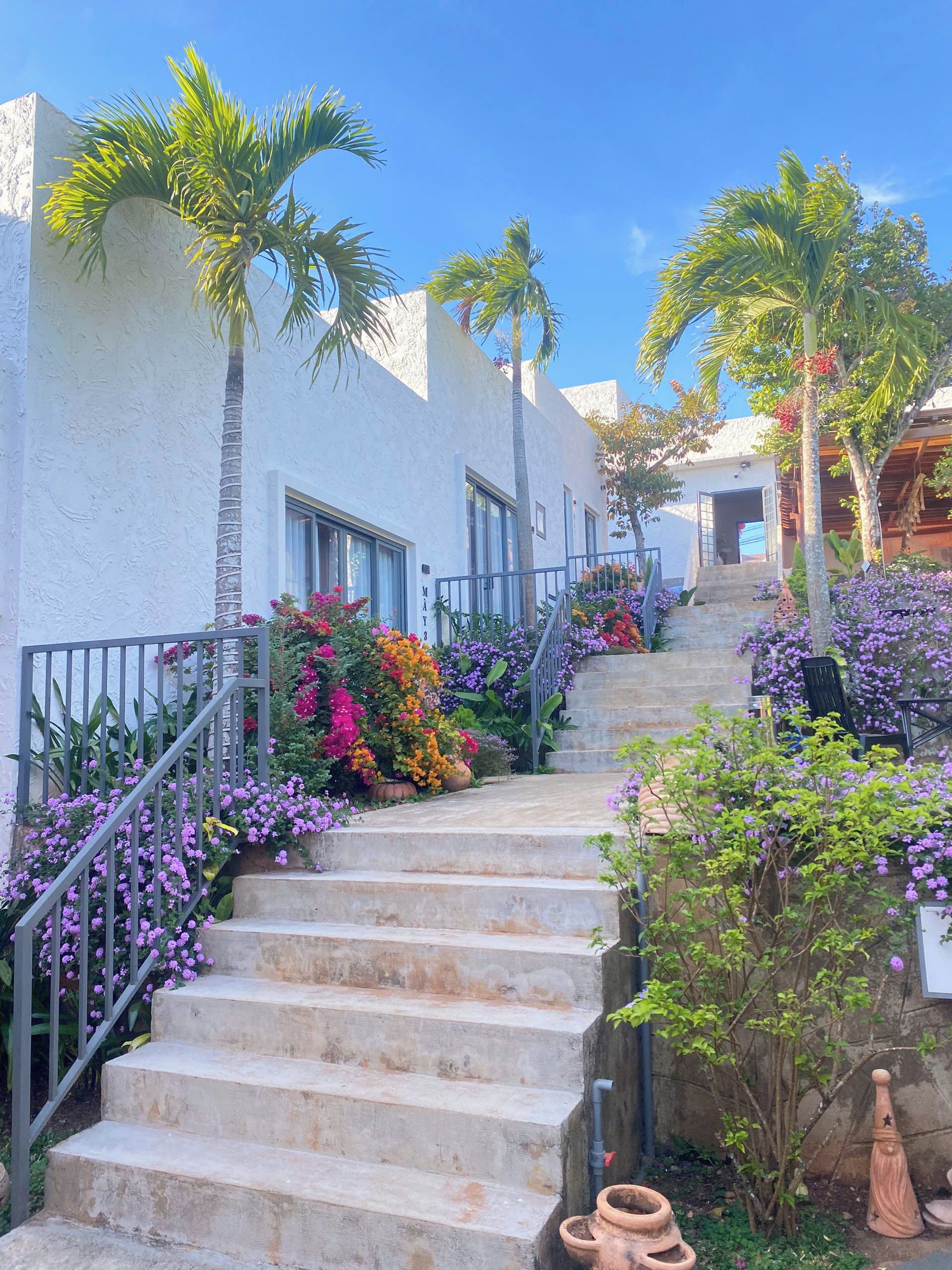 Un escalier menant à un bâtiment à l’extérieur blanc, entouré de plantes et de fleurs tropicales.