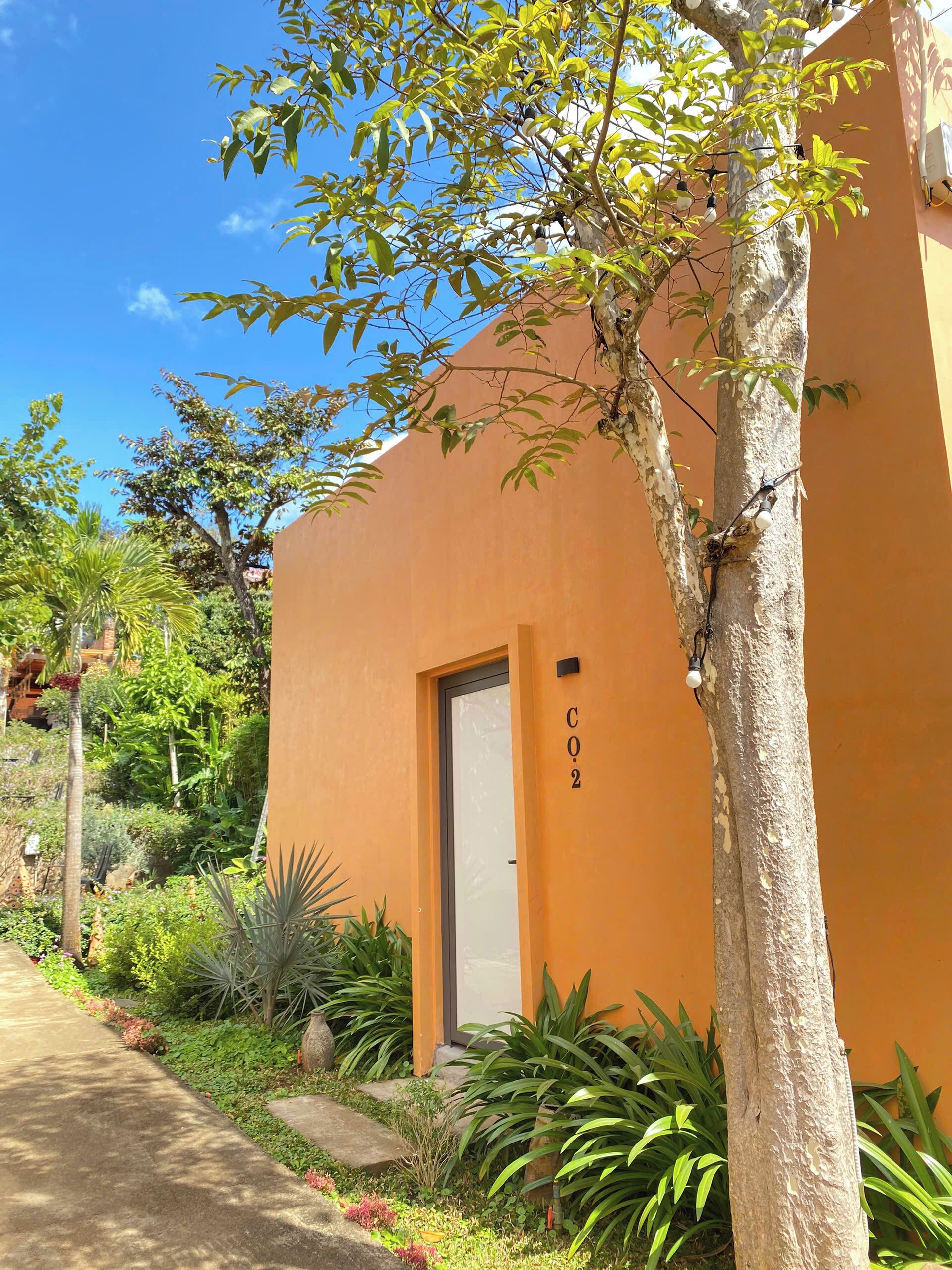 Un edificio con una puerta marcada 'C02' y un árbol en primer plano.