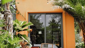 A modern building with a large glass door, surrounded by tropical plants and a small pond.