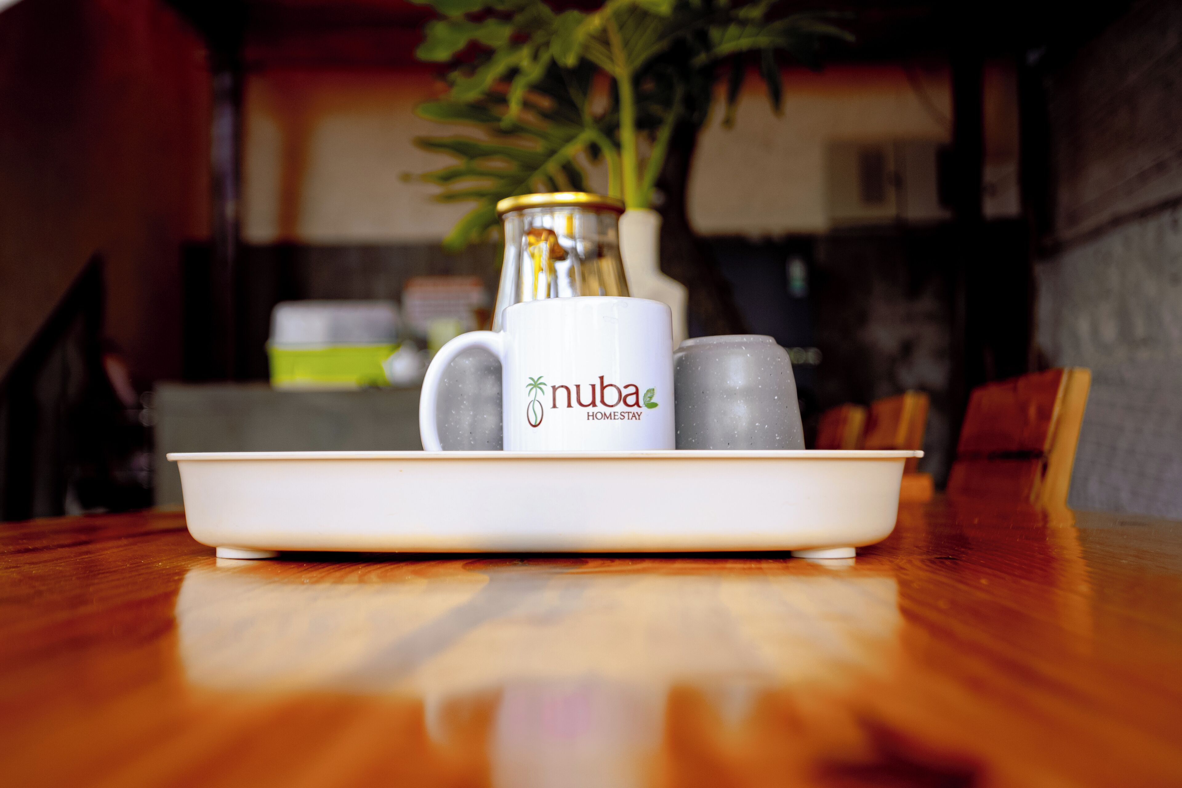 Un plato blanco con una taza blanca y dos vasos sobre una mesa de madera.