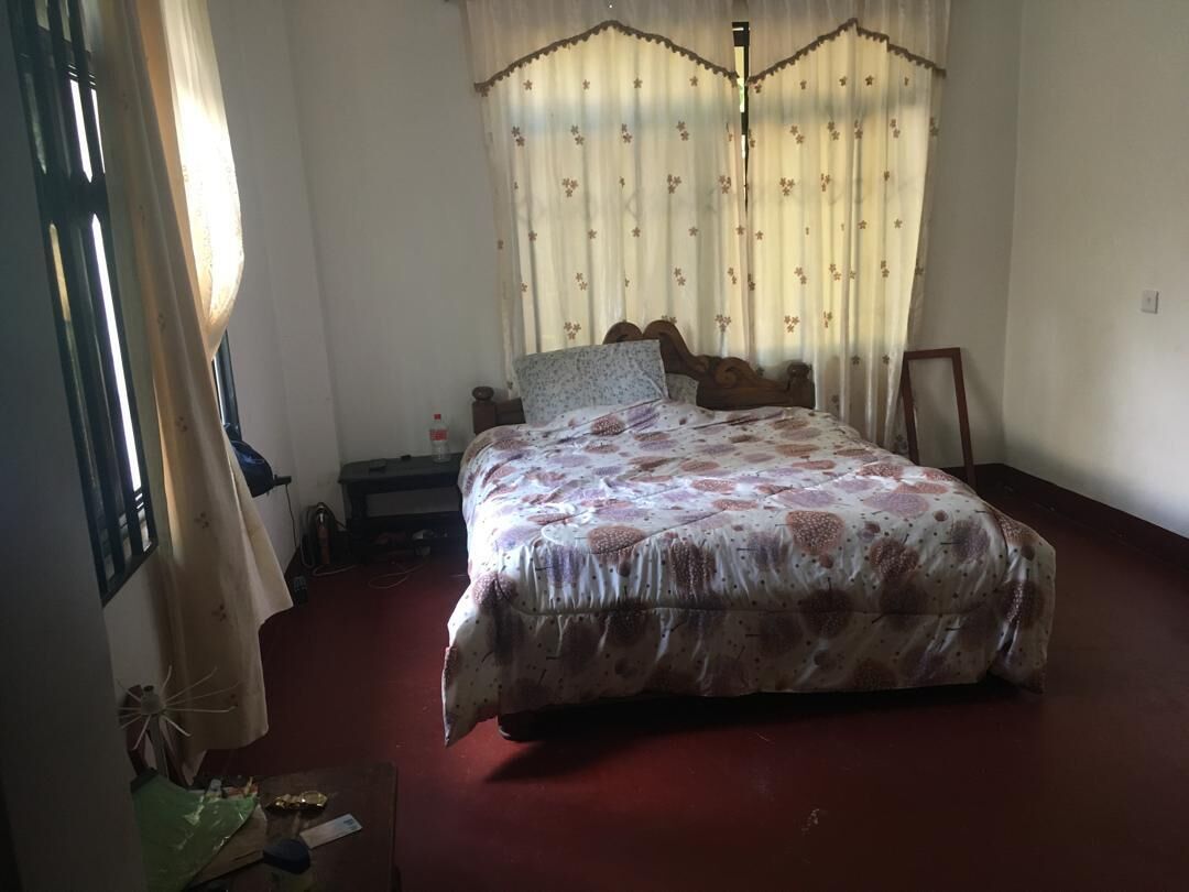 Quarto solteiro standard, vista para o jardim